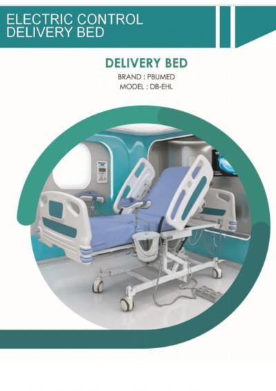 Electrical Delivery Bed (PBUMED DB-EHL)
