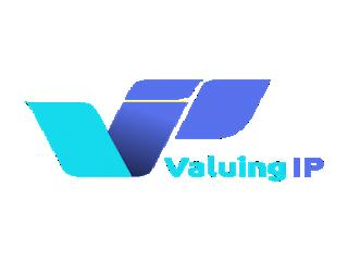 INTELLECTUAL PROPERTY VALUATION
