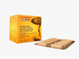 TIGERUS Tiger Milk Mushroom