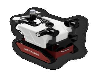 Robotic Agro in Complex Environment (RACE)