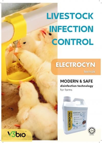 ELECTROCYN ternak, 4L, cap closure
