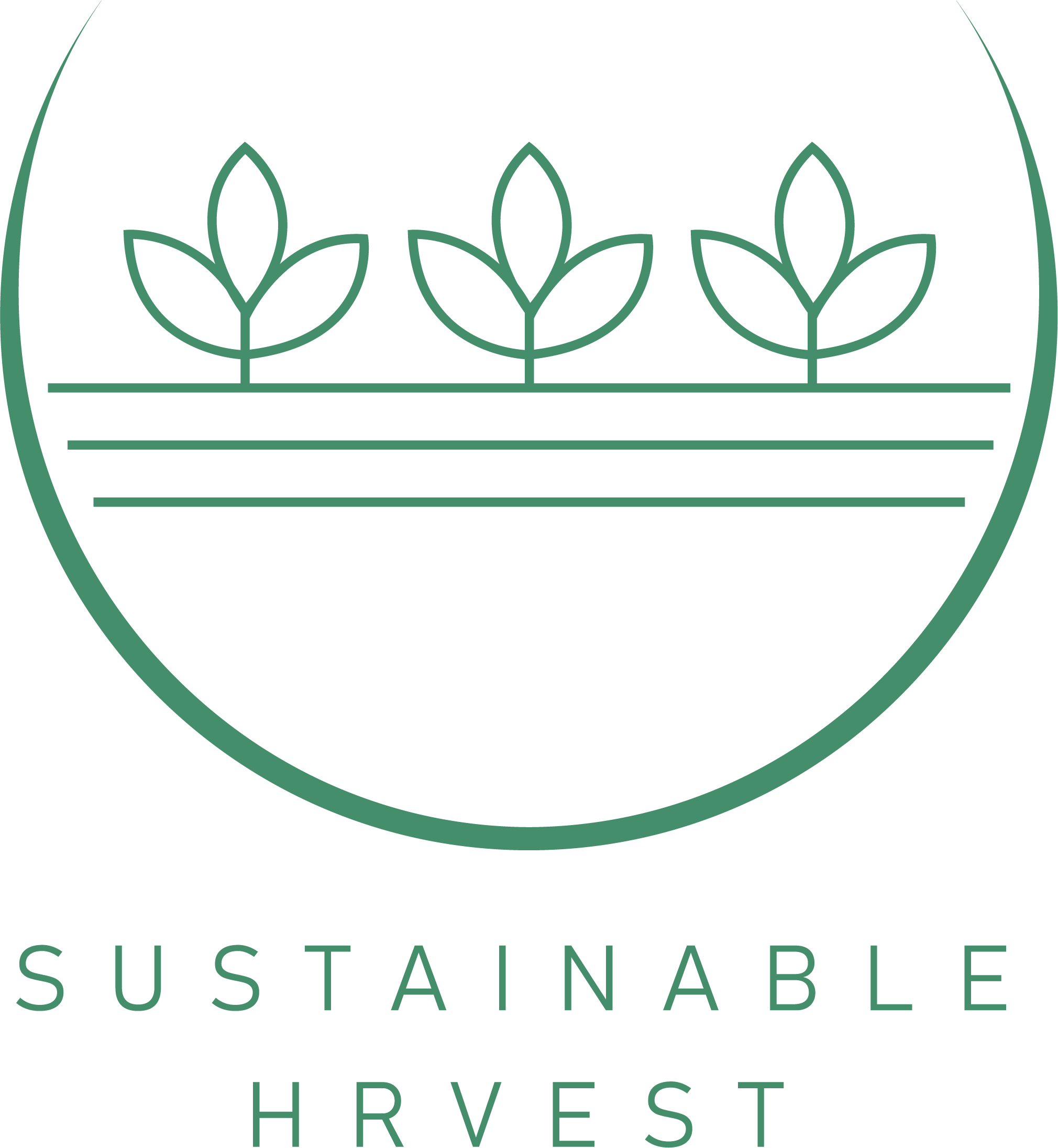 MySTI Logo