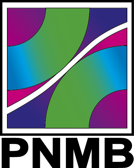 MySTI Logo
