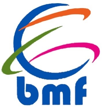 MySTI Logo